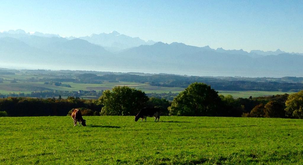 La Ferme De La Praz B&B Buitenkant foto