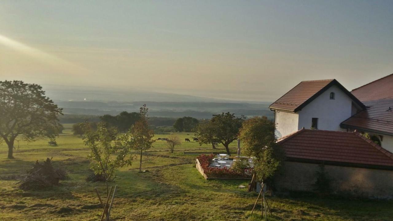 La Ferme De La Praz B&B Buitenkant foto